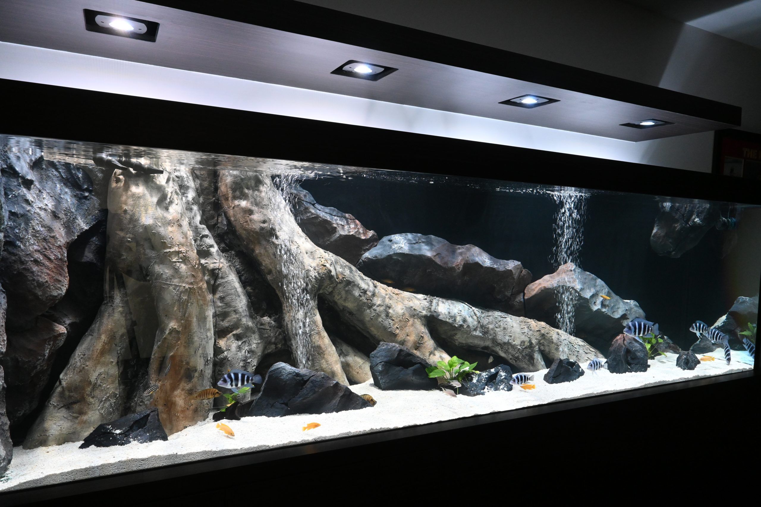 Custom aquarium outlet backgrounds